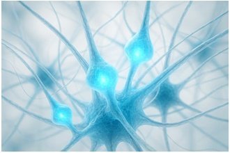 Nerve Salt Benefit